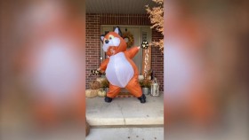 The Greatest AtHome Videos S01E09 1080p WEB h264-BAE EZTV