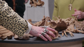 The Greatest Auction S01E04 XviD-AFG EZTV