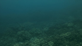 The Green Way Outdoors S02E03 1080p WEB h264-EDITH EZTV