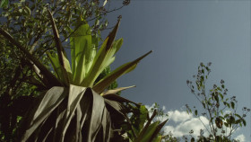 The Hidden River S01E01 1080p WEB h264-POPPYCOCK EZTV