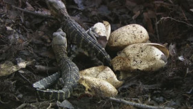 The Hidden River S01E02 XviD-AFG EZTV