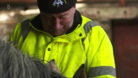 The Highland Vet S02E03 1080p HDTV H264-DARKFLiX EZTV