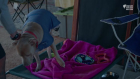 The Hospital In The Deep End S01E01 1080p HDTV H264-CBFM EZTV