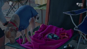 The Hospital In The Deep End S01E01 XviD-AFG EZTV