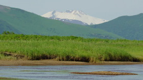 The Hungry Games Alaskas Big Bear Challenge S01E01 1080p HEVC x265-MeGusta EZTV