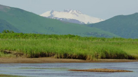 The Hungry Games Alaskas Big Bear Challenge S01E01 XviD-AFG EZTV