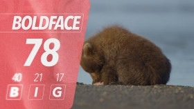 The Hungry Games Alaskas Big Bear Challenge S01E03 1080p HEVC x265-MeGusta EZTV