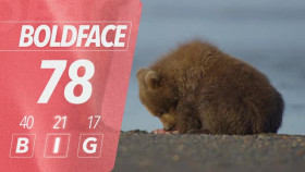 The Hungry Games Alaskas Big Bear Challenge S01E03 XviD-AFG EZTV