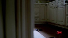 The Hunt With John Walsh S01E04 Under the Influence HDTV x264-W4F EZTV