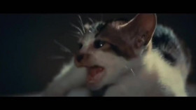 The Icons That Built America S01E04 480p x264-RUBiK EZTV