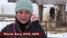 The Incredible Dr Pol S17E09 You Bruise You Lose 720p WEB-DL AAC2 0 x264-BOOP EZTV