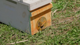 The Incredible Pol Farm S01E02 1080p HEVC x265-MeGusta EZTV