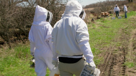 The Incredible Pol Farm S01E02 1080p WEB h264-EDITH EZTV