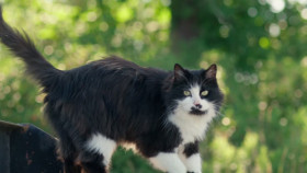 The Incredible Pol Farm S01E06 1080p HEVC x265-MeGusta EZTV