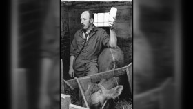 The Incredible Pol Farm S01E07 1080p HEVC x265-MeGusta EZTV