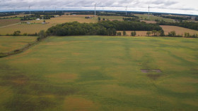 The Incredible Pol Farm S01E11 1080p HEVC x265-MeGusta EZTV