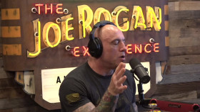 The Joe Rogan Experience - S2024E54 - #2134 - Paul Stamets [1080p WEB-DL]-TARDIS mkv EZTV