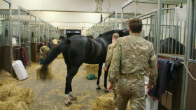 The Kings Guard Serving the Crown S01E05 1080p HDTV H264-DARKFLiX EZTV