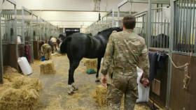 The Kings Guard Serving the Crown S01E05 XviD-AFG EZTV