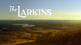 The Larkins 2021 S02E03 1080p STV WEBRip AAC2 0 H264 EZTV