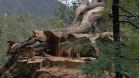 The Last Woodsmen S01E03 Back from the Dead 720p DSCP WEB-DL AAC2 0 x264-WhiteHat EZTV