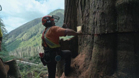 The Last Woodsmen S01E05 720p HEVC x265-MeGusta EZTV