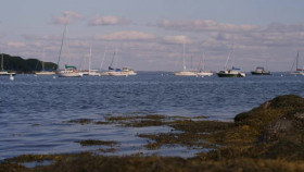 The Lost Kitchen S03E08 XviD-AFG EZTV