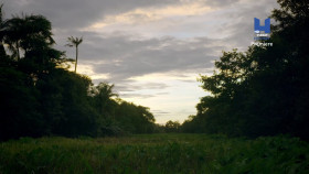 The Lost World of Angkor Wat S01E02 1080p HEVC x265-MeGusta EZTV