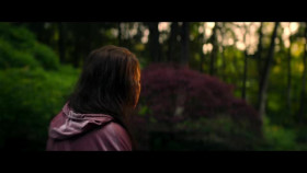 The Manhattan Alien Abduction S01E01 Part 1 XviD-AFG EZTV