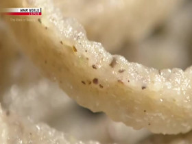 The Mark of Beauty S10E05 Soba Noodles 480p x264-mSD EZTV