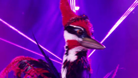 The Masked Singer S12E02 XviD-AFG EZTV