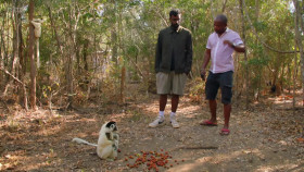 The Misadventures of Romesh Ranganathan S04E03 Madagascar 720p iP WEB-DL AAC2 0 H 264-NTb EZTV