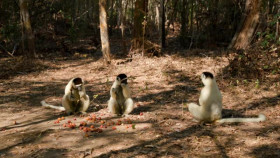 The Misadventures of Romesh Ranganathan S04E03 XviD-AFG EZTV