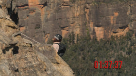 The Mole 2022 S01E06 MULTi 1080p WEB x264-PREZ EZTV