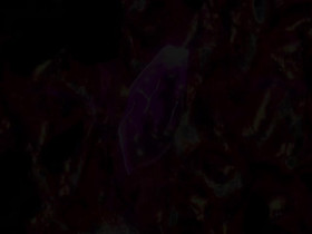 The Most Notorious Talker Runs the Worlds Greatest Clan S01E05 480p x264-mSD EZTV