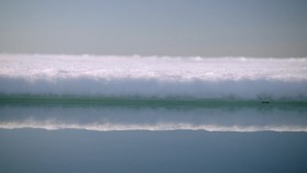 The Nature of Things with David Suzuki S59E07 720p WEBRip x264-CookieMonster EZTV