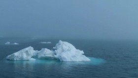 The Nature of Things with David Suzuki S60E14 The Last Walrus 720p WEBRip x264-BAE EZTV