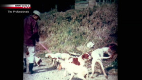 The Professionals S08E09 True Partnership Kaida Hiroshi Search and Rescue Dog Trainer 1080p HDTV H264-DARKFLiX EZTV