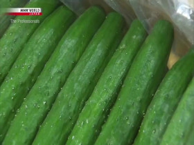 The Professionals S08E11 Seeds Always Sprout Kobori Natsuka Vegetable Buyer 480p x264-mSD EZTV
