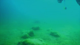 The Proof Is Out There Bermuda Triangle Edition S01E01 720p HEVC x265-MeGusta EZTV