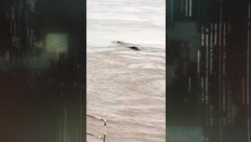 The Proof Is Out There Bermuda Triangle Edition S01E05 720p WEB h264-BAE EZTV