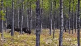 The Proof Is Out There S03E03 1080p WEB h264-KOGi EZTV