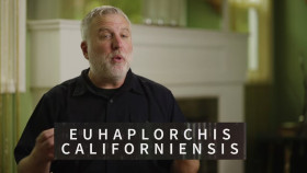 The Proof Is Out There S04E15 720p HEVC x265-MeGusta EZTV