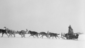 The Proof Is Out There S04E16 720p HEVC x265-MeGusta EZTV