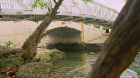 The Real CSI Miami S01E01 480p x264-RUBiK EZTV