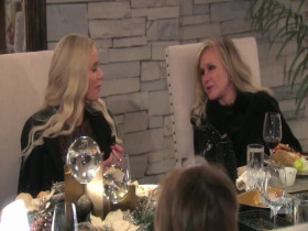 The Real Housewives of Beverly Hills S11E12 Circle of Distrust PROPER 480p x264-mSD EZTV