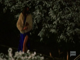 The Real Housewives of New York City S13E14 Hanger Pains 480p x264-mSD EZTV