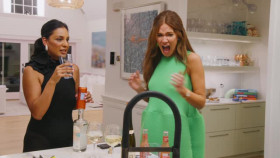 The Real Housewives of New York City S15E04 XviD-AFG EZTV