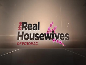 The Real Housewives of Potomac S06E22 480p x264-mSD EZTV