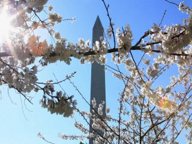 The Real Housewives of Potomac S09E07 480p x264-mSD EZTV